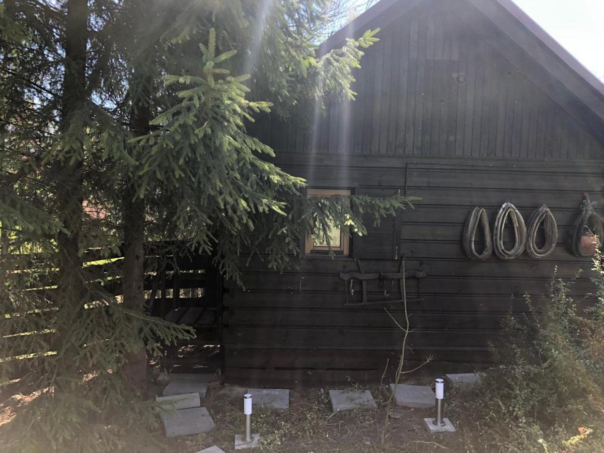 Dom Alpejski Krosniczanka Krosnica  Buitenkant foto